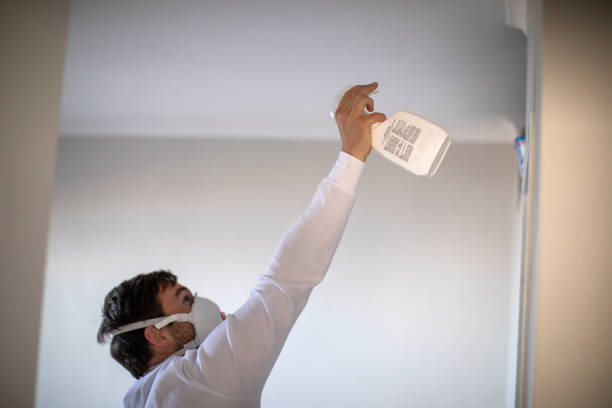 Best Industrial Mold Remediation in Pleasant Grove, OH